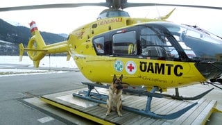 Ein Lawinensuchhund sitzt vor dem Rettungshubschrauber Christophoros I an einer Station des Österreichischen Automobil-, Motorrad- und Touringclubs (Archivbild).