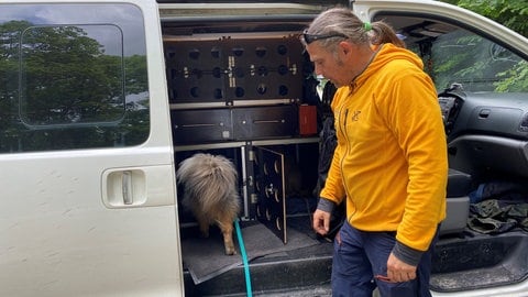 Marco Aldinger holt mit seinem selbst ausgebauten Van die Hunde von zu Hause ab. Bis zu zehn Hunde kann er mitnehmen. Kleine und Große!