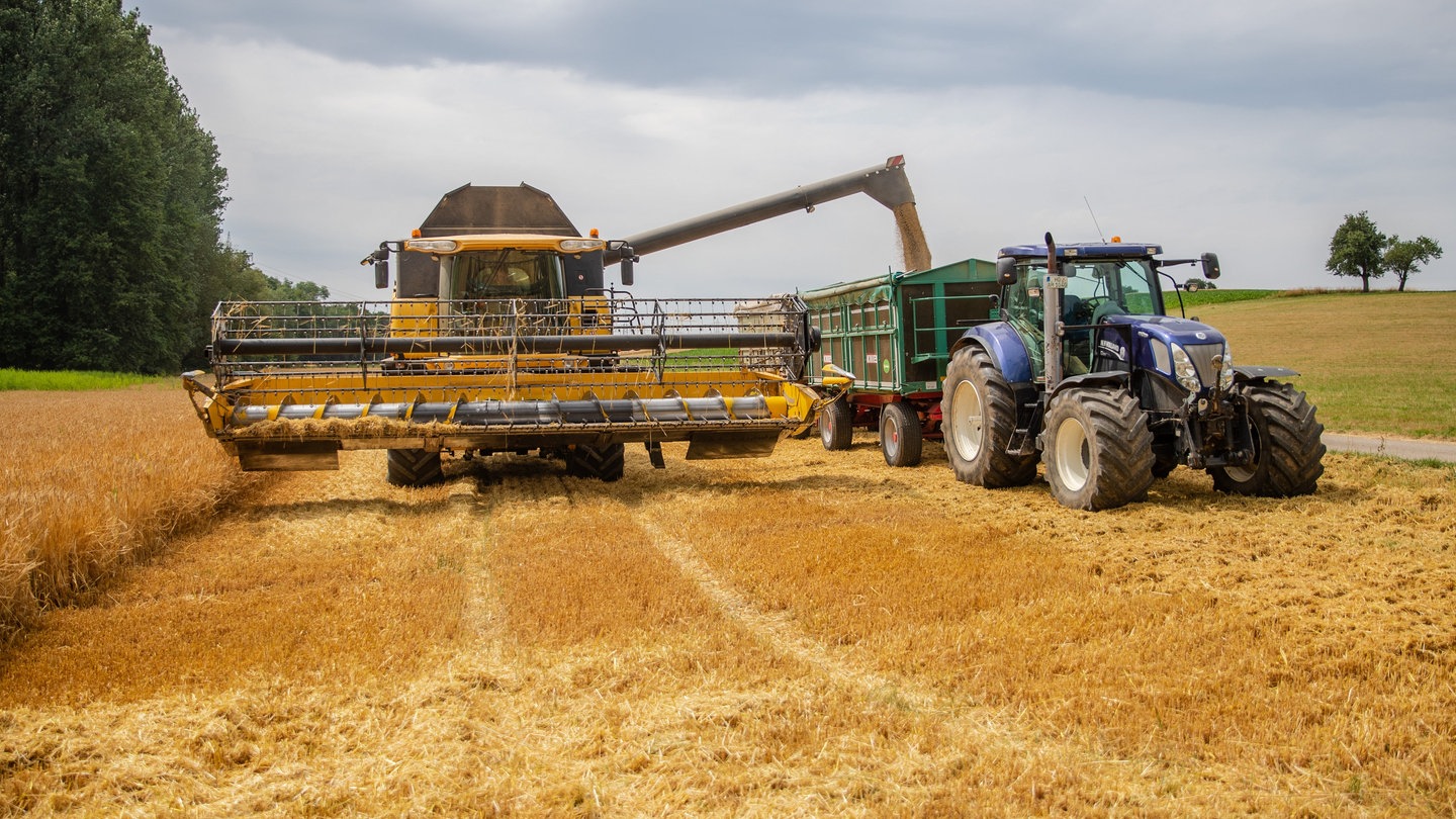 Ein Mädrescher und ein Traktor mit Anhänger sind auf einem Feld bei der Ernte von Wintergerste.