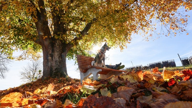 Eine Frau sitzt mit ihrem Hund unter einem herbstlich verfärbten Baum auf der Schwäbischen Alb in der Sonne.