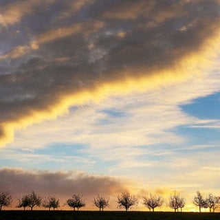 Hinter Obstbäumen erhellt die aufgehende Sonne den teilweise bewölkten Himmel