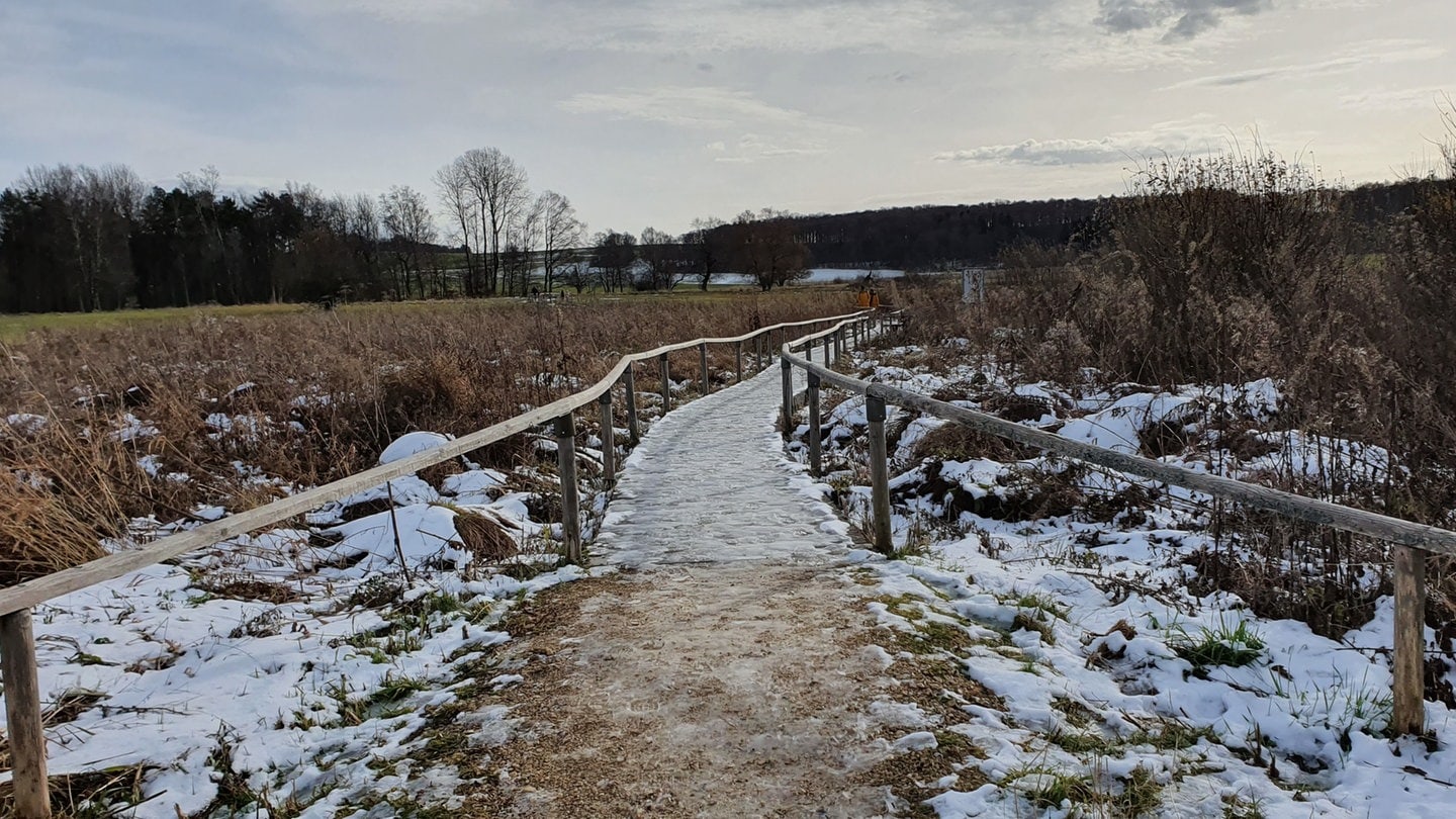 Schopflocher Moor (Kreis Esslingen) auf der Schwäbischen Alb