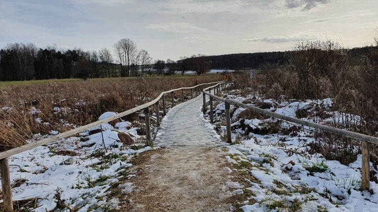 Schopflocher Moor (Kreis Esslingen) auf der Schwäbischen Alb