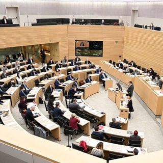 Abgeornedete des Landtags von Baden-Württemberg sitzen bei einer Debatte im Plenum (Archivbild).