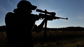 Eine Jägerin mit Gewehr - braucht es eine Obergrenze von Langwaffen bei Jägern?