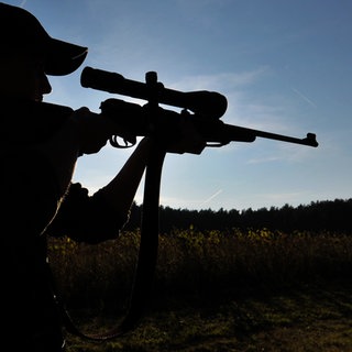 Eine Jägerin mit Gewehr - braucht es eine Obergrenze von Langwaffen bei Jägern?