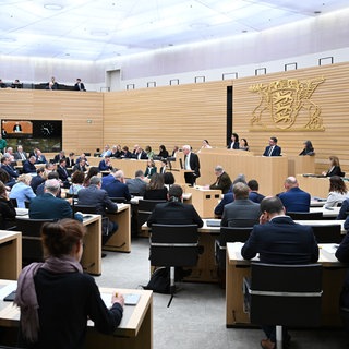 Der baden-württembergische Landtag