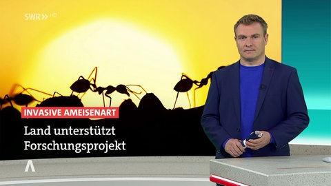 Nachrichtensprecher Sven Rex