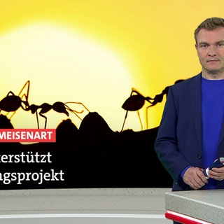 Nachrichtensprecher Sven Rex