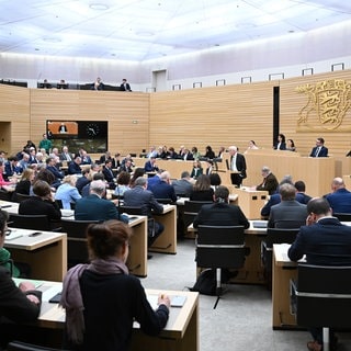 Geht hier bald der Platz aus? Die FDP will mit einem Volksbegehren die Aufblähung des baden-württembergischen Landtags verhindern.