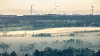 Der Bodennebel an der Donau bei Riedlingen im Kreis Biberach färbt sich am Morgen bei Minusgraden im Gegenlicht der aufgehenden Sonne gelblich ein.