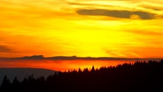 Die Sonne geht im Naturschutzpark Nordschwarzwald in der Nähe von Seebach unter. Im Park befindet sich ein Wildnisgebiet.