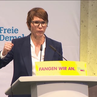 FDP Landesvertreter BW