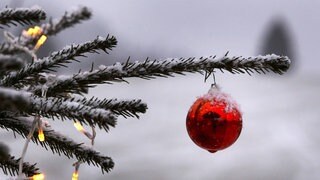 Ein geschmückter Weihnachtsbaum ist mit Schnee bedeckt.