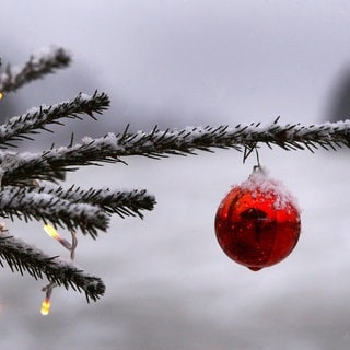 Ein geschmückter Weihnachtsbaum ist mit Schnee bedeckt.