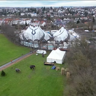 Weihnachtszirkus Reutlingen