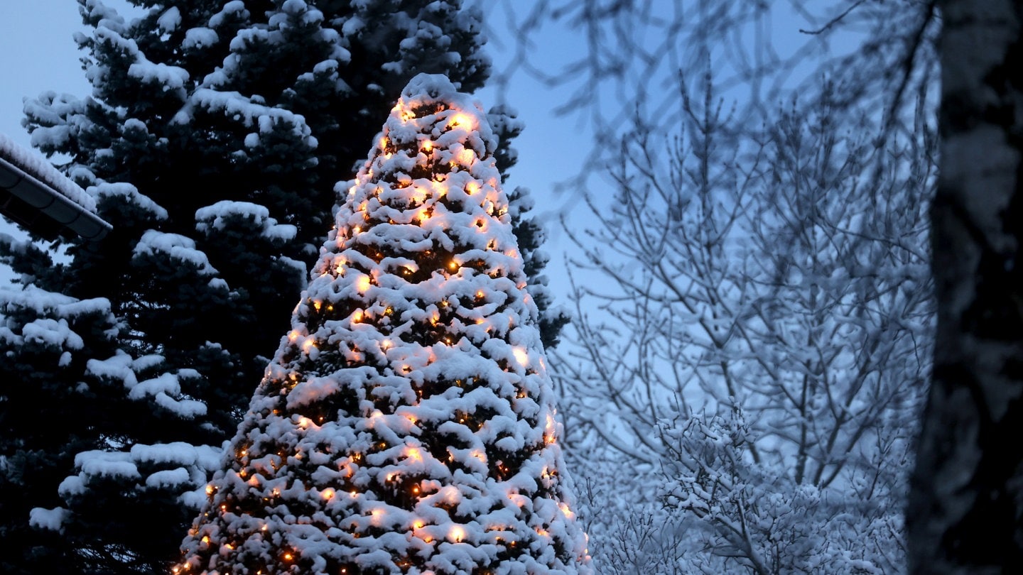 Ein mit Lichtern geschmückter Baum ist am frühen Morgen mit Neuschnee bedeckt.