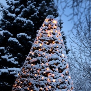 Ein mit Lichtern geschmückter Baum ist am frühen Morgen mit Neuschnee bedeckt.