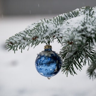 An einem Nadelbaum hängt blauer Weihnachtsbaumschmuck.