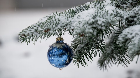 An einem Nadelbaum hängt blauer Weihnachtsbaumschmuck. (Symbolbild)