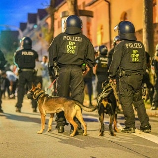 Einsatzkräfte der Polizei stehen 2013 mit Hunden nach Ausschreitungen bei einer Eritrea-Veranstaltung in Stuttgart auf der Straße. Die Zahl der Gewalttaten gegen Polizeibeamte in Baden-Württemberg hat stark zugenommen.