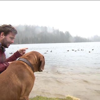 Ein Mann zeigt seinem Hund einen See