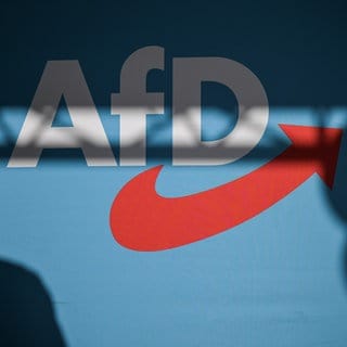 Die AfD-Kreistagfraktion Konstanz hat nach SWR-Recherchen einen Anwalt mit einschlägig rechtsextremem Hintergrund beschäftigt