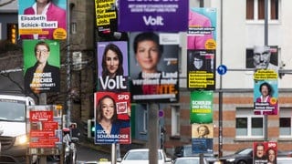 Wahlplakate von VOLT, BSW, und anderen Parteien zur Bundestagswahl 2025 an einer Straße in Stuttgart