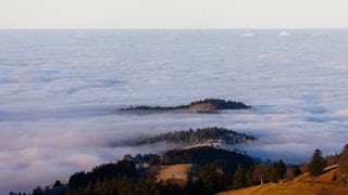 Tief im Nebel versunken: Zwei Bergrücken ragen in Münstertal (Kreis Breisgau-Hochschwarzwald) am Dienstag (4.2.) in den Himmel. Während sich in weiten Teilen Baden-Württembergs zäher Hochnebel breitmacht und es vielerorts eher trüb bleibt, scheint die Sonne in höheren Lagen immer wieder durch.