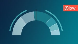 Diagramm als Symbolbild für den Koalitionsrechner im SWR Wahlergebnisportal für die Bundestagswahl 2025 in BW