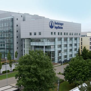 Firmengebäude des Pharmakonzerns Boehringer Ingelheim für die Biopharmazie in Biberach aus Glas und grauem Beton. Auf der Vorderseite des Gebäudes steht in großen, blauen Buchstaben der Firmenname.