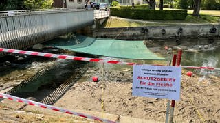 Im Thurgau wurden für Fische Kaltwasserzonen eingerichtet