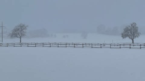 Die Landschaft mit Wiesen und Bäumen ist verschneit. (Foto: SWR)