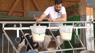 Buerokratie bei Milchvieh-Landwirt in Wangen im Allgäu 