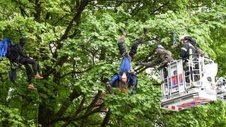 Zwei Klimaaktivisten hängen an einem Seil, das über die Bundesstraße 32 zwischen zwei Bäumen gespannt wurde.