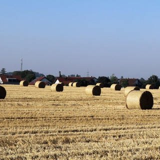 Getreide-Ernte im Landkreis Biberach