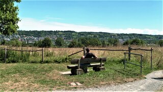 Nägele auf dem Jakobsweg von Ravensburg nach Friedrichhafn