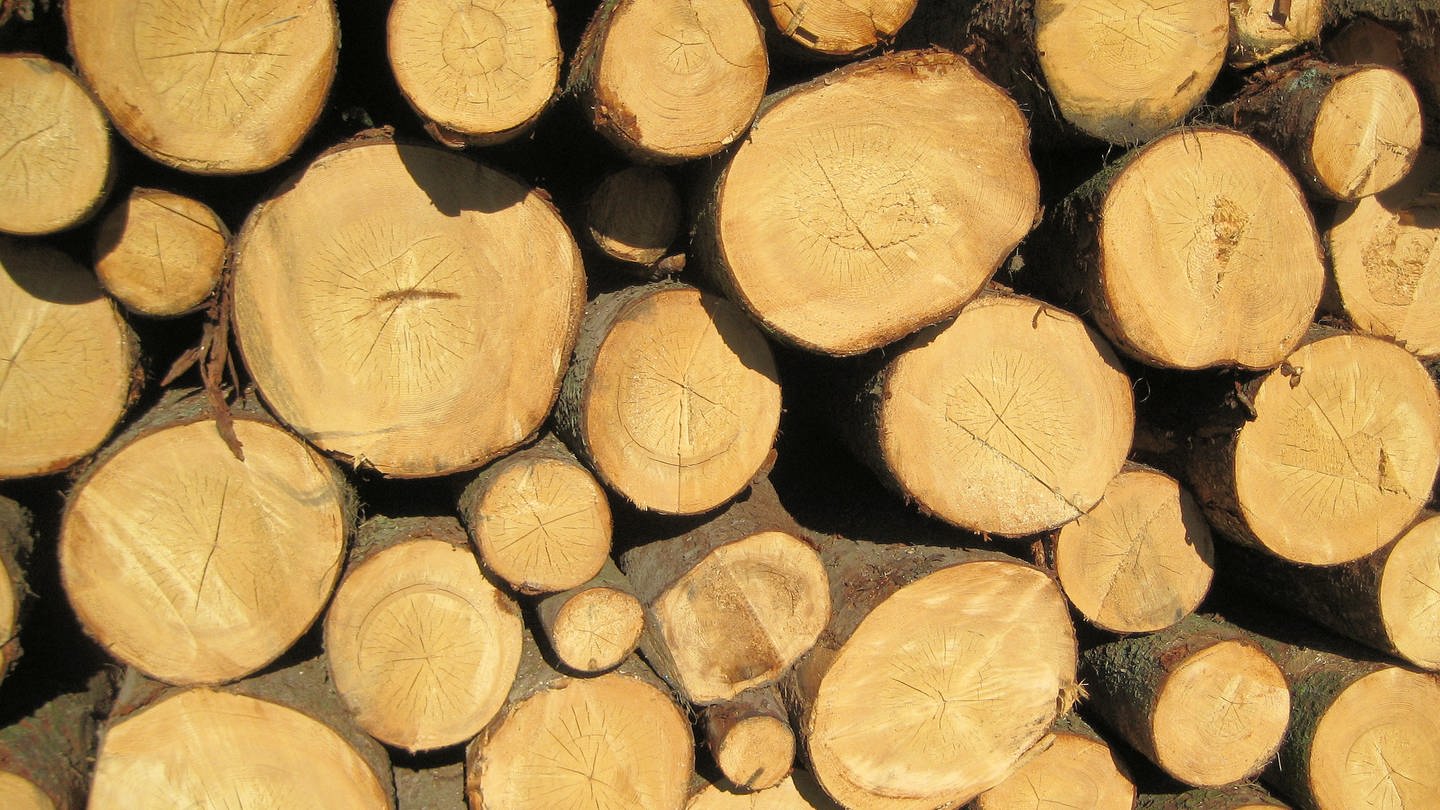 Ein Stapel Brennholz