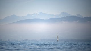 Ein Boot segelt auf dem Bodensee vor Alpenpanorama