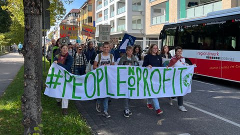 "Fridays for Future"-Demo in Friedrichshafen