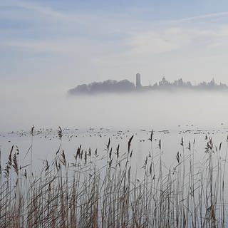 Nebel über dem Bodensee bei der Mainau, im Hintergrund die Konstanzer Jugendherberge