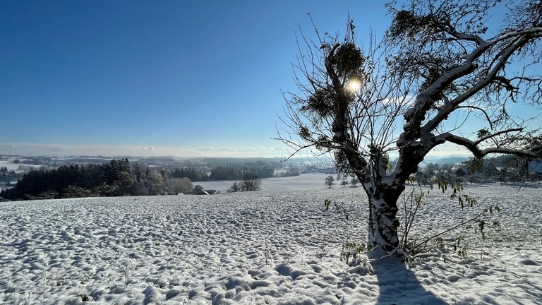 Schnee im Allgäu