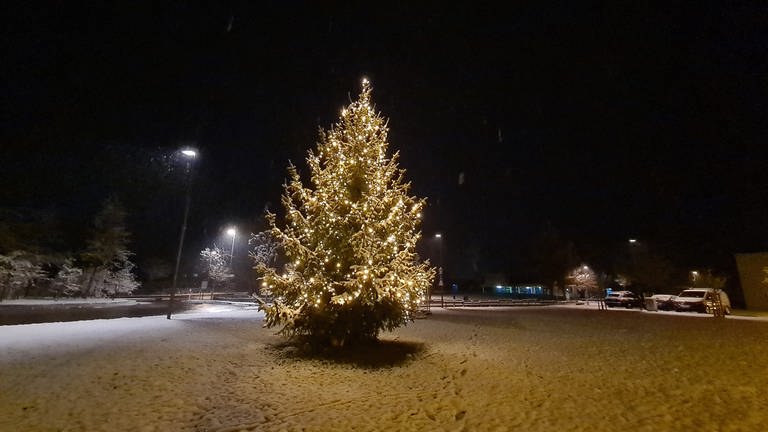 Schnee am Bodensee in Eriskirch Dezember 2022