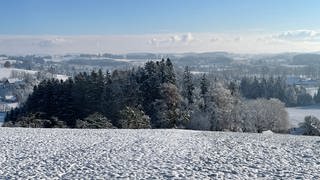 Schnee liegt im Allgäu auf der Wiese und auf Bäumen im Dezember 2022