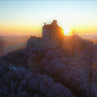 Geisterjäger auf der Waldburg