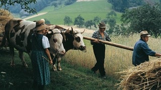 Fotos aus dem Buch von Wolf-Dietmar Unterweger