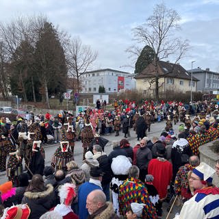 Narrentreffen in Tettnang mit großem Umuzg