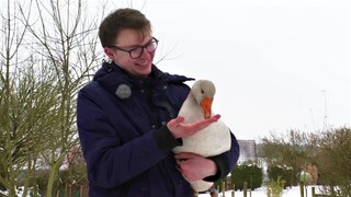 Tiertrainer Alexander Dreher, Bad Wurzach