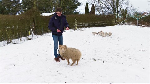 Tiertrainer Alexander Dreher, Bad Wurzach