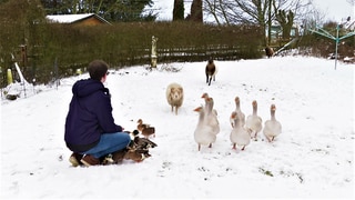 Tiertrainer Alexander Dreher, Bad Wurzach